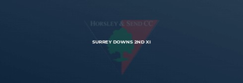 Horsley 4XI unable to keep pace with South Nutfield
