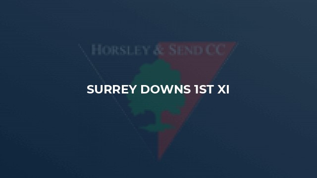 Surrey Downs 1st XI
