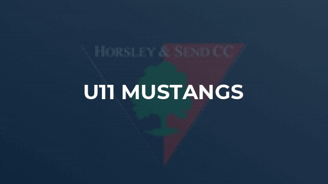 U11 Mustangs