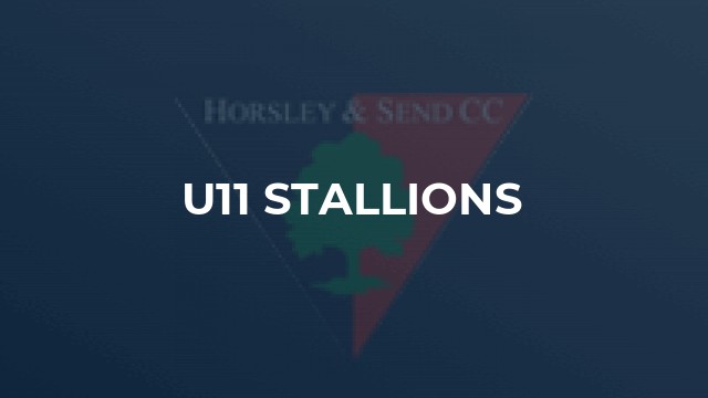 U11 Stallions