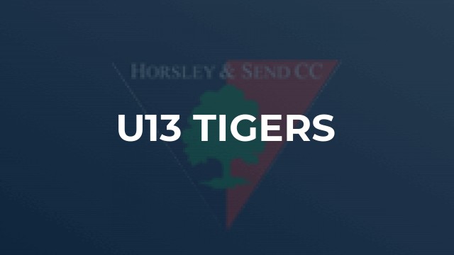 U13 Tigers