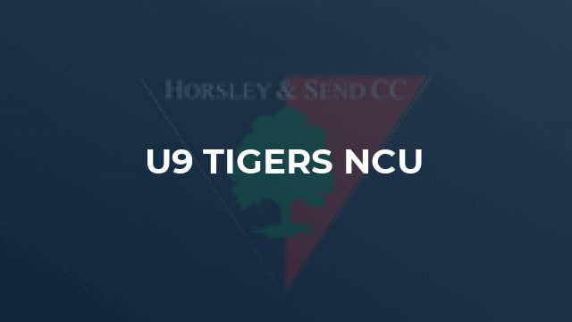 U9 Tigers NCU