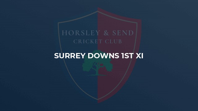 Surrey Downs 1st XI