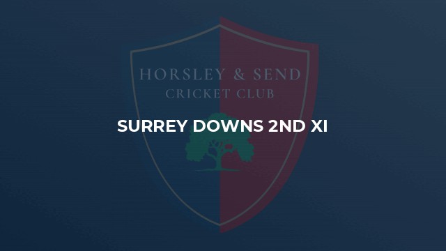 Surrey Downs 2nd XI