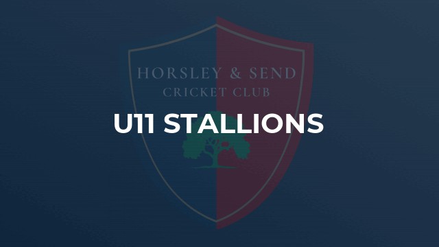 U11 Stallions