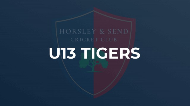 U13 Tigers