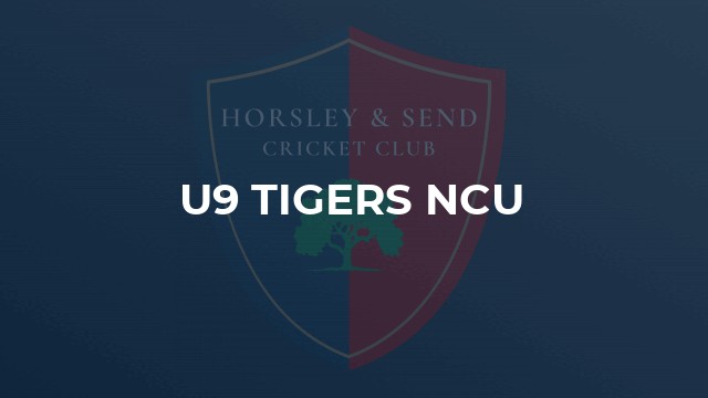 U9 Tigers NCU