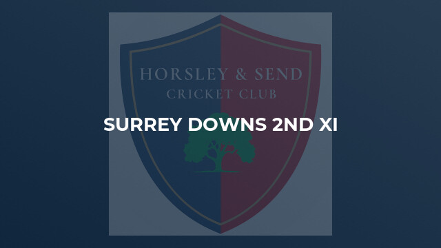 Surrey Downs 2nd XI