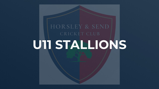 U11 Stallions