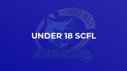 Heath U17s win through to Cup Final