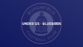 Under 12s - Bluebirds