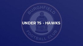 Under 7s - Hawks