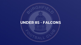 Under 8s - Falcons