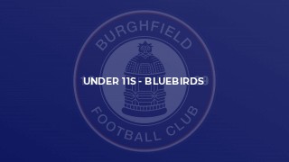 Under 11s - Bluebirds
