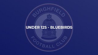 Under 12s - Bluebirds