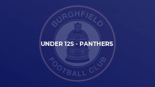 Under 12s - Panthers
