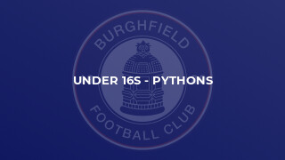 Under 16s - Pythons