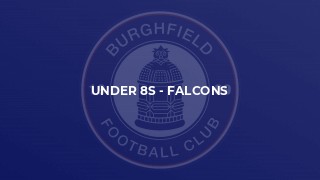 Under 8s - Falcons