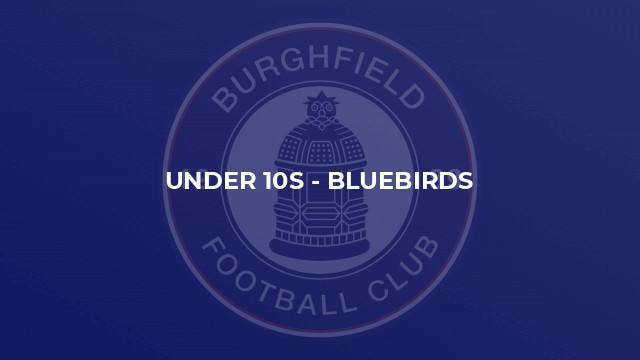 Under 10s - Bluebirds