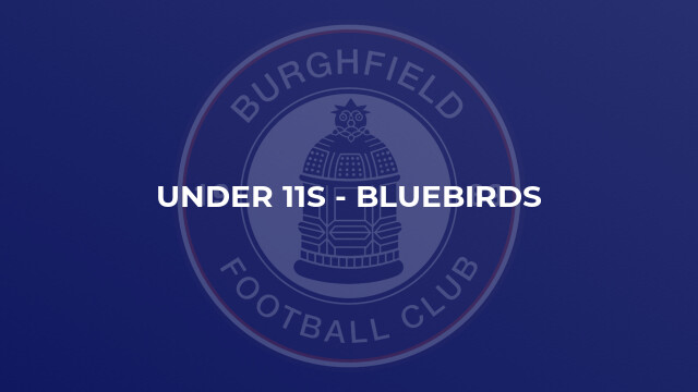 Under 11s - Bluebirds
