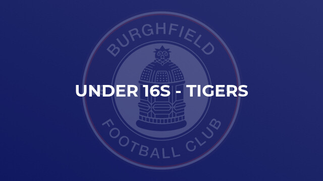 Under 16s - Tigers