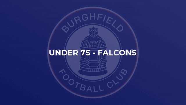 Under 7s - Falcons