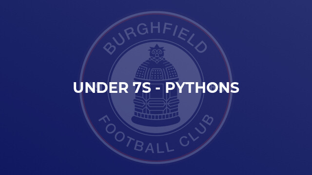 Under 7s - Pythons