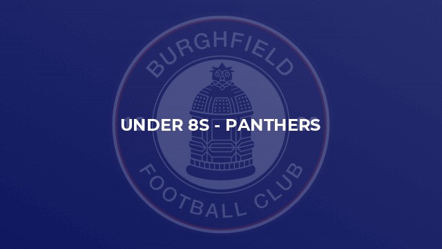 Under 8s - Panthers