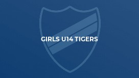 Girls U14 Tigers