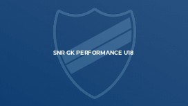 SNR GK Performance U18