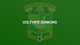 U12 (Yr7) Juniors