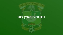 U13 (Yr8) Youth