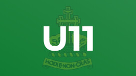 U11