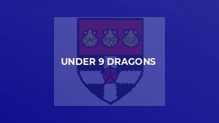 Under 9 Dragons