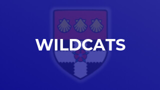 Wildcats