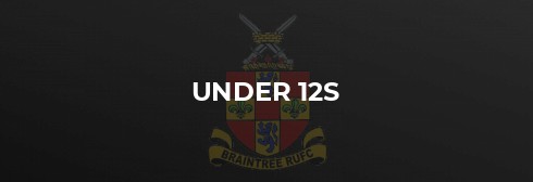 Braintree Under 12s Lions 9 - Westcliffe 4