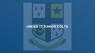 Under 17 Junior Colts