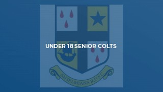 Under 18 Senior Colts