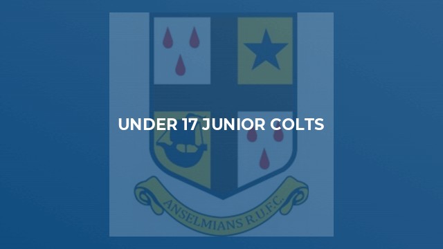 Under 17 Junior Colts
