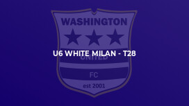 U6 White Milan - T28