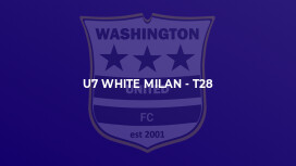 U7 White Milan - T28