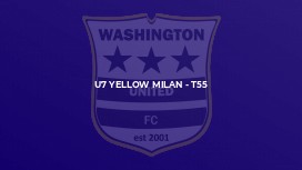 U7 Yellow Milan - T55