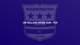U8 Yellow Inter Sun - T29