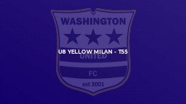 U8 Yellow Milan - T55