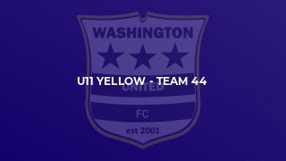 U11 Yellow - Team 44