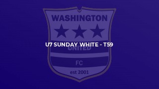 U7 Sunday White - T59