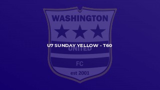 U7 Sunday Yellow - T60