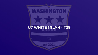 U7 White Milan - T28