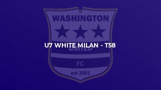 U7 White Milan - T58