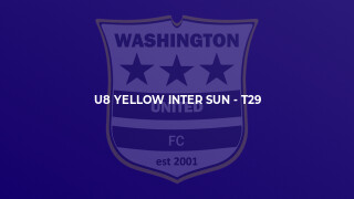 U8 Yellow Inter Sun - T29